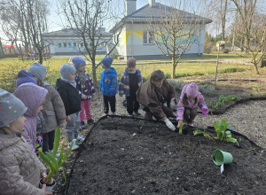 Żabki w ogródku- sadzimy cebule