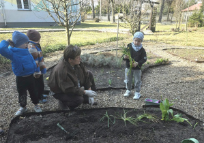 Dzieci sadzą cebulki.