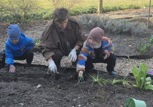 Dzieci sadzą cebulki.