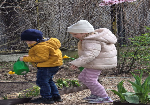 Porządki w ogródku.