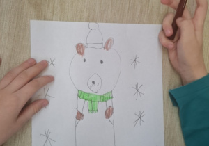 Niedźwiadek polarny.