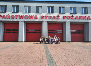 Pszczółki w Ogniku