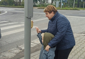zielone światło