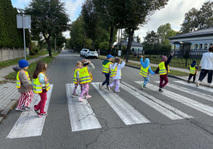 Bezpieczne stokrotki