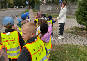 Bezpieczne stokrotki