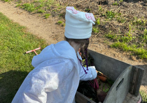 Sielankowa przygoda