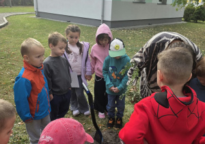 Przedszkolaki sadzą drzewo.