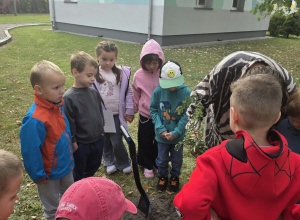 O tym jak "Żabki" świętowały Dzień Drzewa.