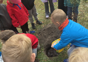 Przedszkolaki sadzą drzewo.