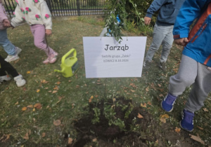 Przedszkolaki sadzą drzewo.