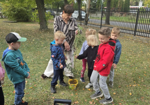 Przedszkolaki sadzą drzewo.