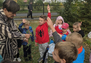 Przedszkolaki sadzą drzewo.