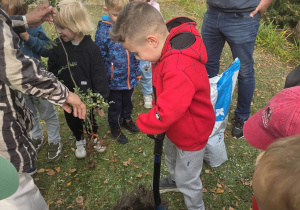 Przedszkolaki sadzą drzewo.