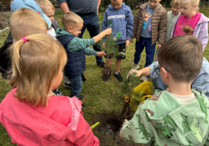 Dzień drzewa