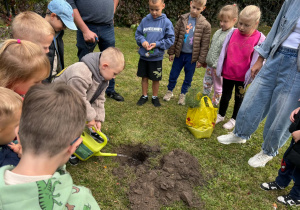 Dzień drzewa