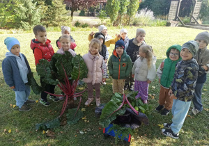 projekt