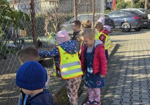 Dzieci przyglądają się zwierzętom.