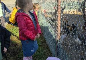 Dzieci przyglądają się zwierzętom.