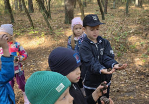 Dzieci podczas zajęć w lesie.