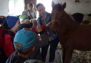 Dzieci ogladają konie