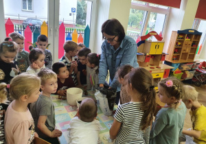 grupa Pszczółki zabiera sie za sadzenie orzechów i kasztanów