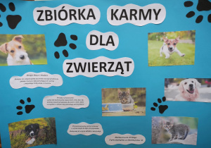 Plakat- zbiorka karmy dla zwierząt