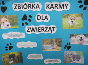 Zbiórka karmy dla zwierząt ze schroniska.