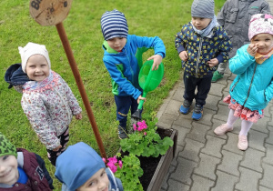 Biedronki podlewają kwiatki