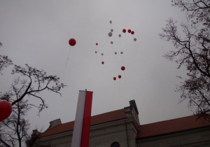 Balony poszybowały w niebo 