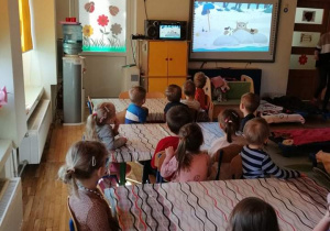Biedroneczki oglądają film edukacyjny