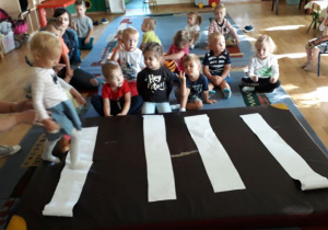 Biedronki uczą się przechodzić przez jezdnię