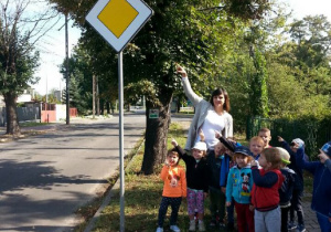 Motylki poznają znaki